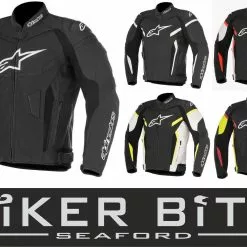 Alpinestars Jackets Alpinestars GP PLUS R V2 Motorbike/Motorcycle Leather Sports Jacket